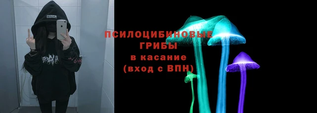 дмт Майский