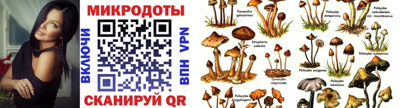 Галлюциногенные грибы Magic Shrooms Староминская