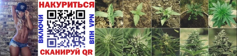 закладка  Староминская  Бошки марихуана LSD WEED 